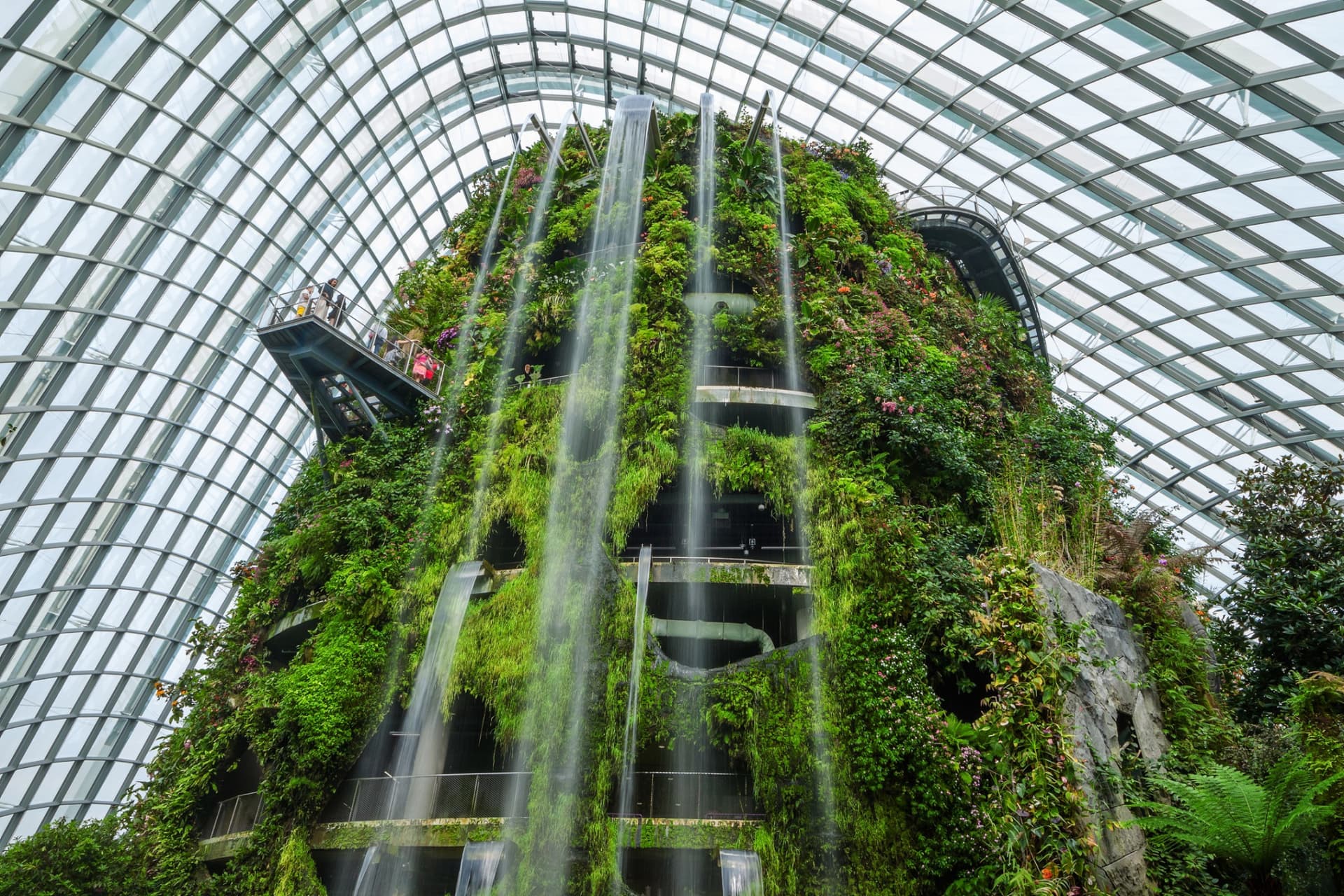 Gardens by the Bay Ticket - image 18